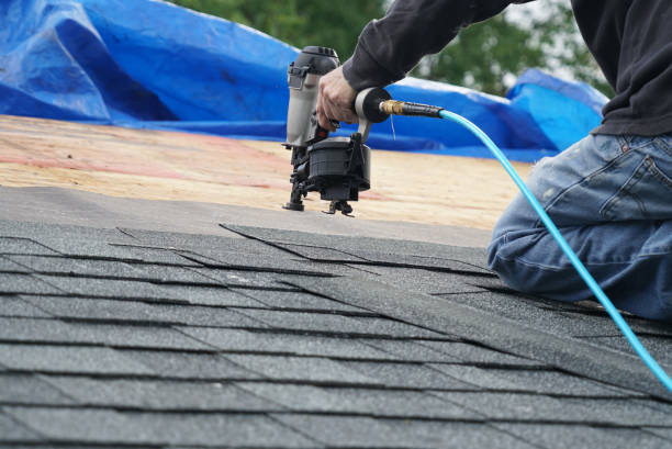 Best Roof Moss and Algae Removal  in St Leon, IN